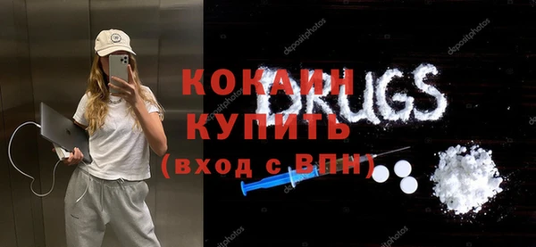 дмт Богородск