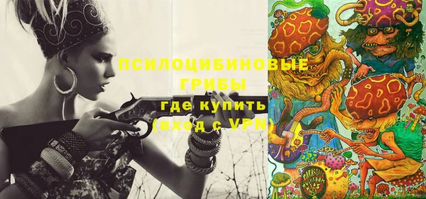 первитин Богородицк