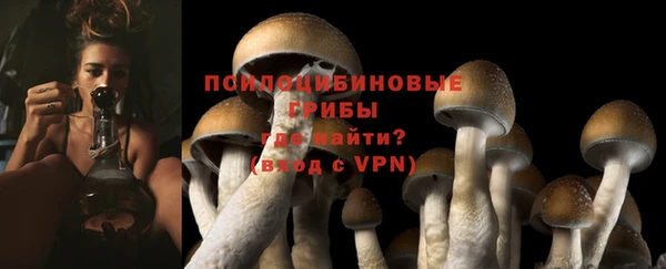 apvp Богданович