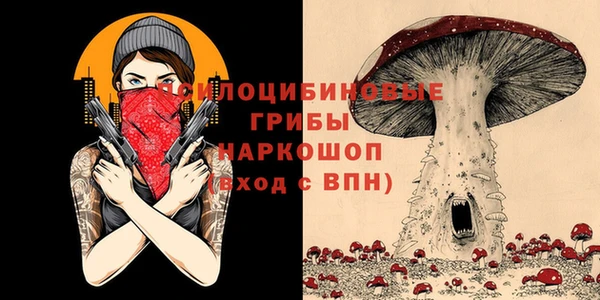 первитин Богородицк
