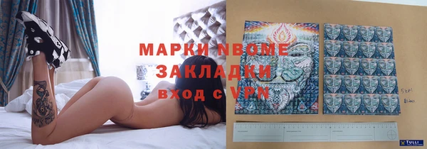 apvp Богданович